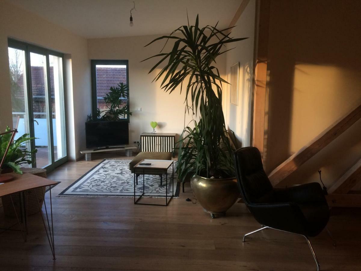 Kranichhof - Studio, Loft & Atelier ツォッセン エクステリア 写真
